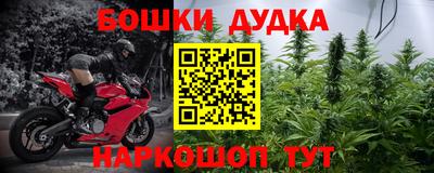 гидропоника Можга