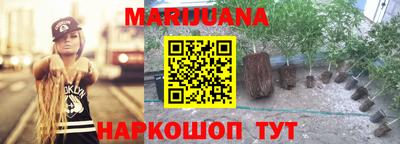 гидропоника Можга