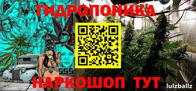 гидропоника Можга
