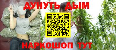 гидропоника Можга