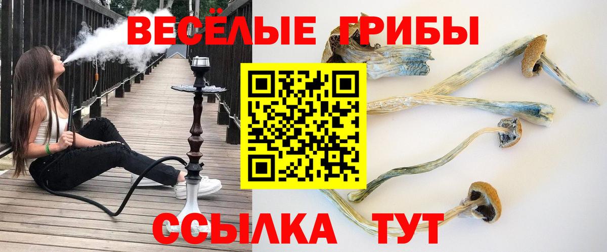 Галлюциногенные грибы мицелий Алейск